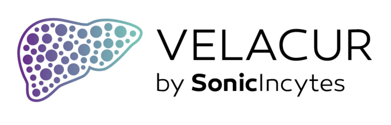 sonic incytes logo